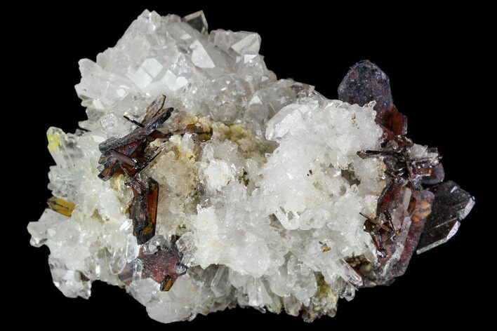 Brookite and Quartz Crystal Association- Pakistan #111341